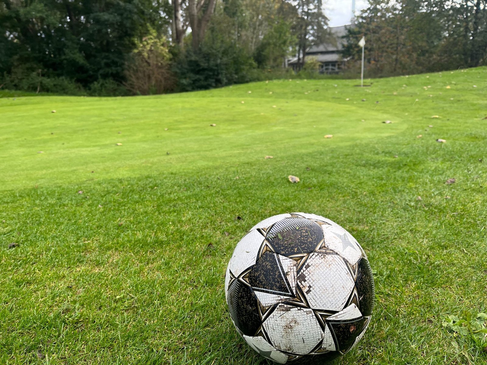 Footgolf bal